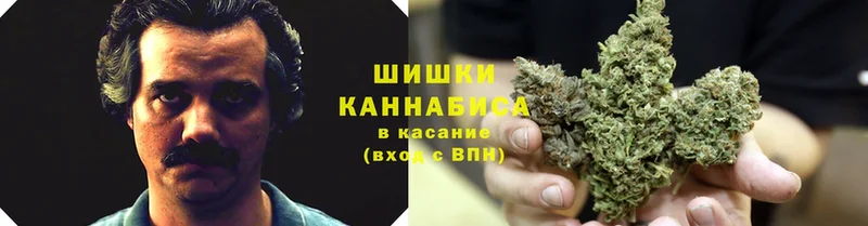 МАРИХУАНА Ganja  где купить наркотик  Дно 